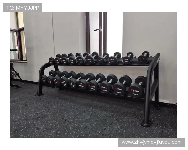 黑龙江优质健身器材批发直销渠道